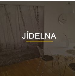 alternativni text