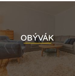 alternativni text
