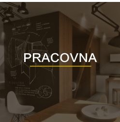 alternativni text